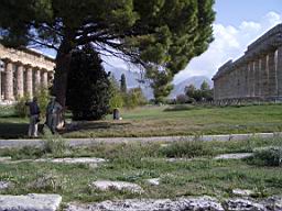 Paestum - North Temples.JPG