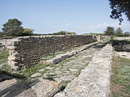 Paestum - The Royal Road.JPG