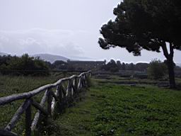 Paestum - View towards North.JPG