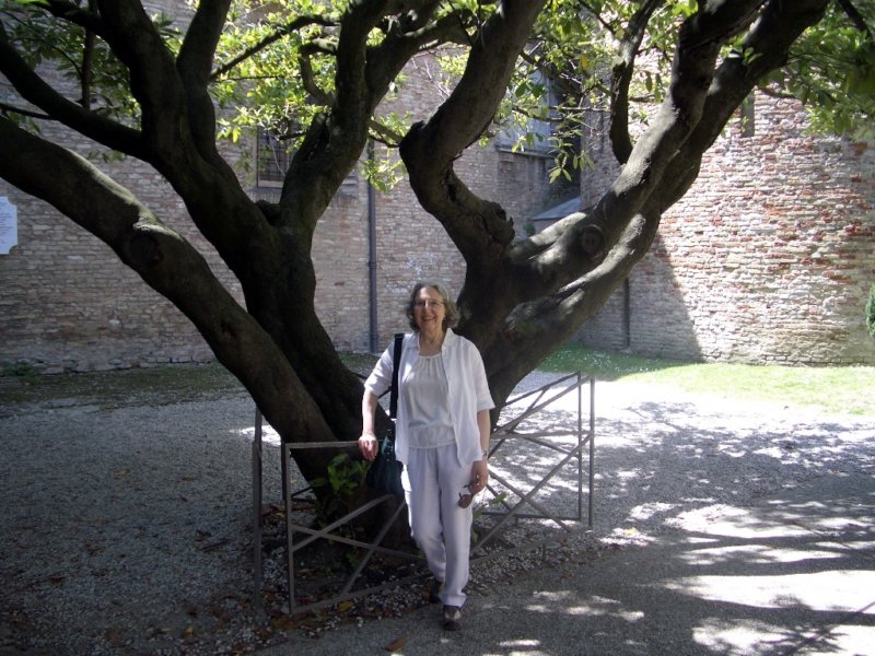 sanvitale9.jpg